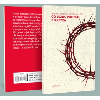 Co Jezus widział z krzyża - Antonin-Dalmace Sertillanges OP